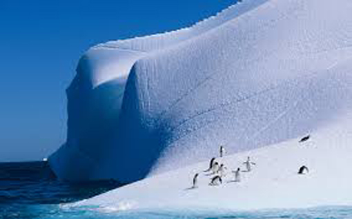 南極2.jpg