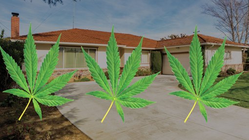 Marijuana-Grow-House.jpg