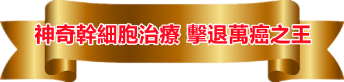 21-217354_golden-banner-cliparts-gold-banner-png-transparent-png_副本.png