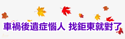 832-8325271_best-transparent-background-fall-leaves_副本.png