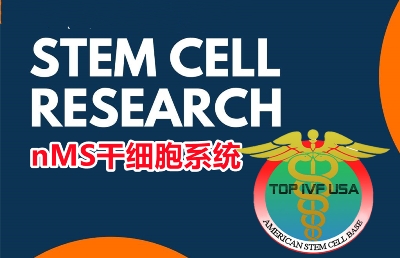 97-Pros-and-Cons-of-Stem-Cell-Research-_副本.jpg